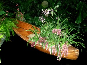 Orchid Hunters Canoe